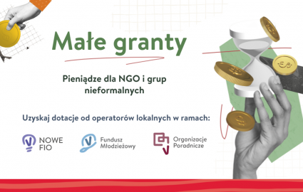 Małe granty dla NGO-sów