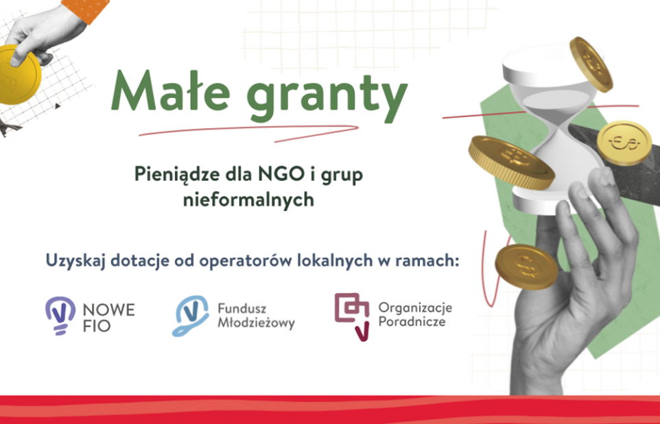 Małe granty dla NGO-sów