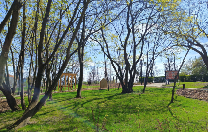 Park - teren zielony, drzewa, mała infrastruktura