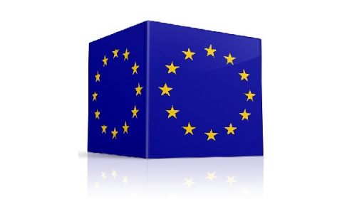 Unia Europejska kostaka z logo UE