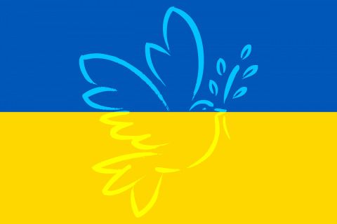 Na tle flagi Ukrainy gołąb z gałazką
