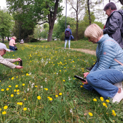Seniorki fotografujące na łące